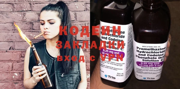 дживик Семилуки