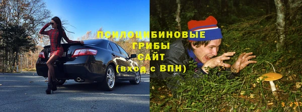 гидра Баксан
