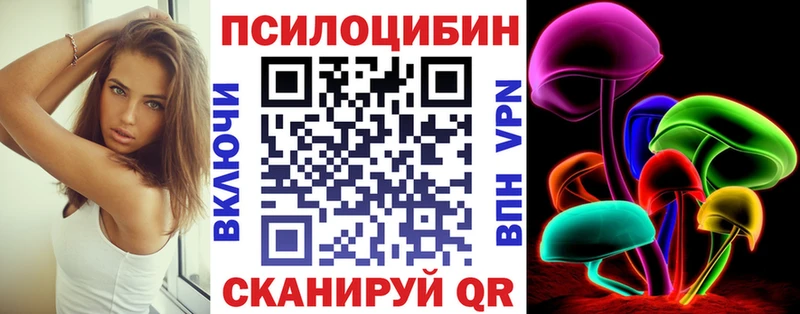 купить  цена  Кунгур  Псилоцибиновые грибы Psilocybe 