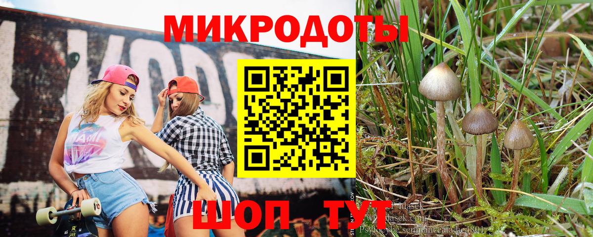 Галлюциногенные грибы мицелий Кунгур