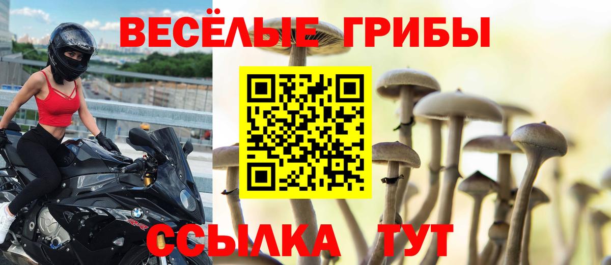 наркошоп  Галлюциногенные грибы ЛСД  Вход с VPN  Кунгур  Псилоцибиновые грибы мицелий 